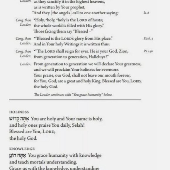 Rosh Hashanah Hebrew English Machzor Siddur Full Size Ashkenaz Lord Sacks - Picture 3 of 4